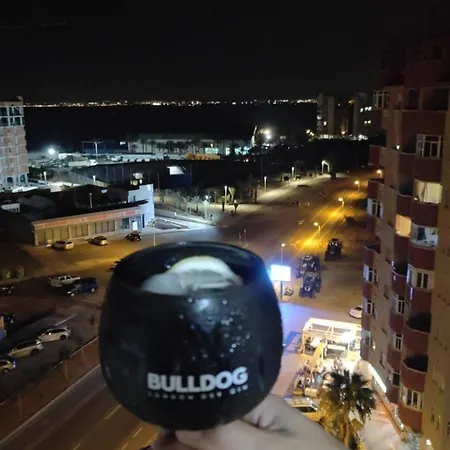 Palmeras I ラ・マンガ・デル・マール・メノール