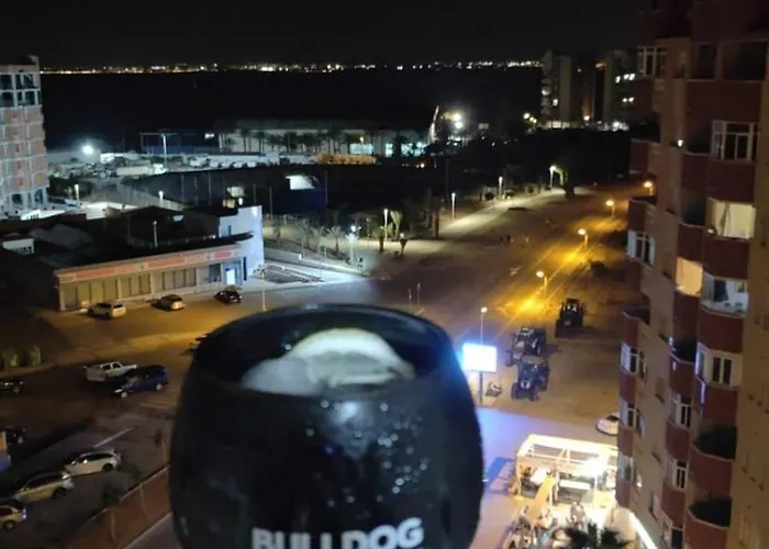 Palmeras I La Manga del Mar Menor